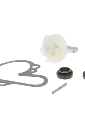 Vendita Finale Kit riparazione pompa acqua PP-09346692 101 Octane