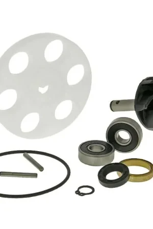 Saldi Kit riparazione pompa acqua PP-09320243 101 Octane