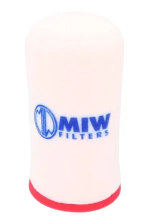 Acquista Ora FILTRO ARIA YFM700R - 265227