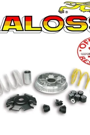Vendita Finale variatore malossi multivar