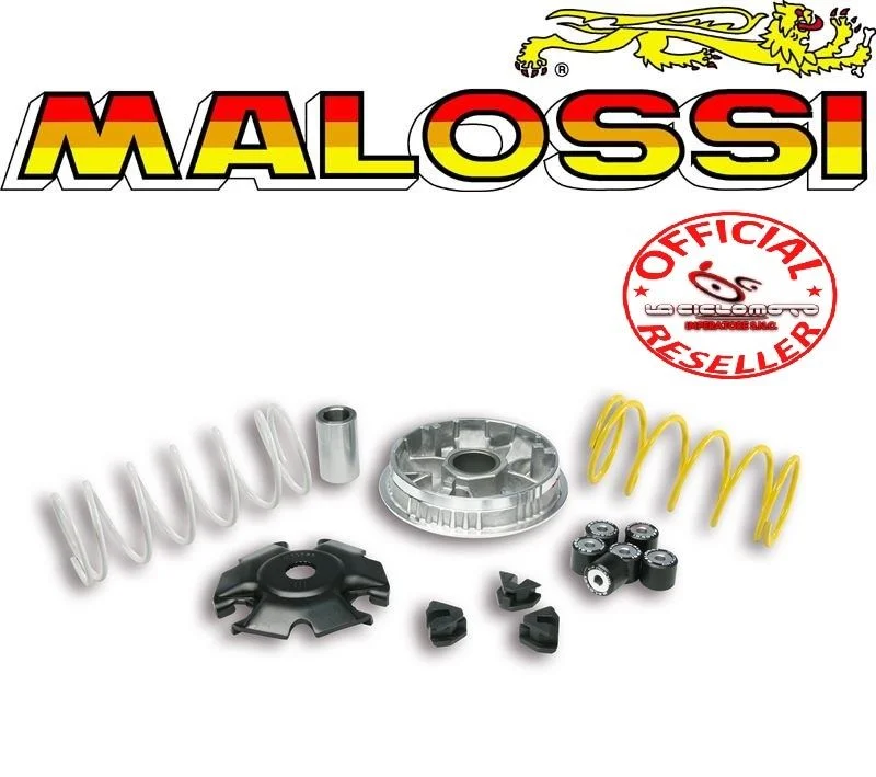 Vendita Finale variatore malossi multivar