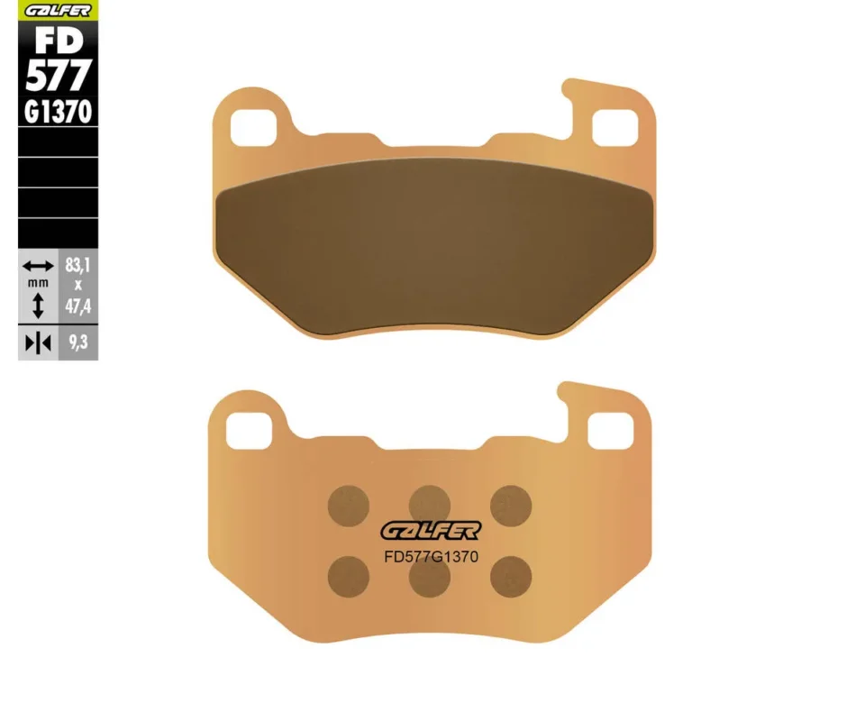 Galfer Pastiglie Freno Posteriore per HARLEY DAVIDSON RH 1250 SPORSTER SModelli: 2022FD577G1370 Prezzo Conveniente
